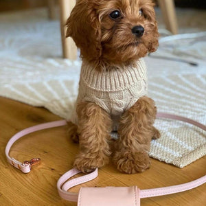 Pale Pink poop bag holder by ST ARGO in vegan leather toy cavoodle