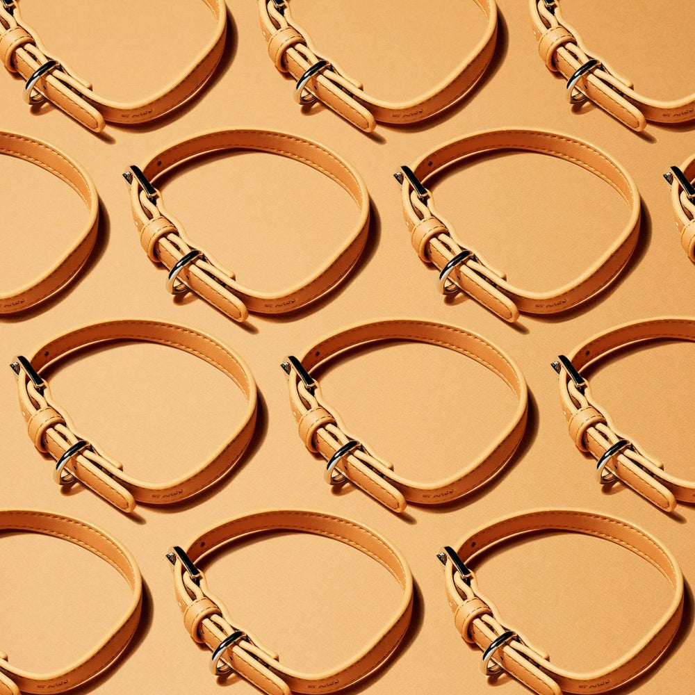 Peach Dog Collar | ST ARGO