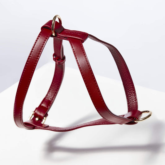 ST ARGO Ruby Red Dog Harness in Vegan Leather shot in white photo studio