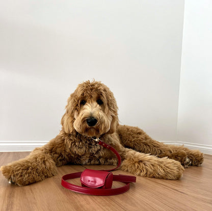 Ruby red poop bag holder in vegan leather on a lead with goldendoodle