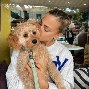 cavoodle puppy wears the ST ARGO sage green dog lead with mum at Bondi Sydney cafe