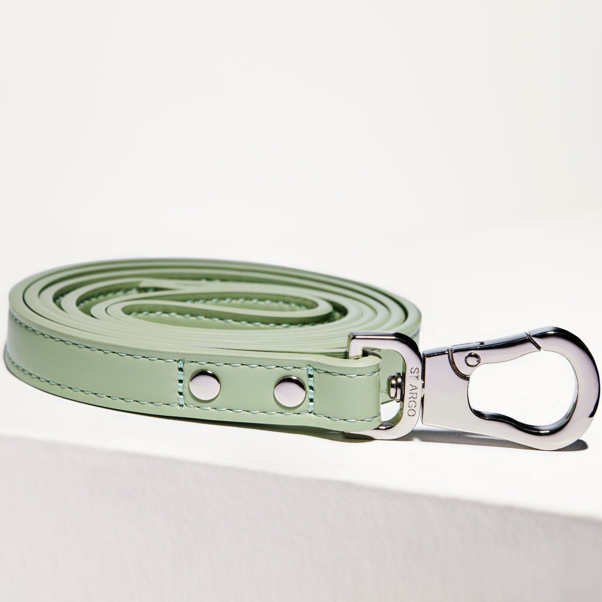 Green dog shop collar and lead