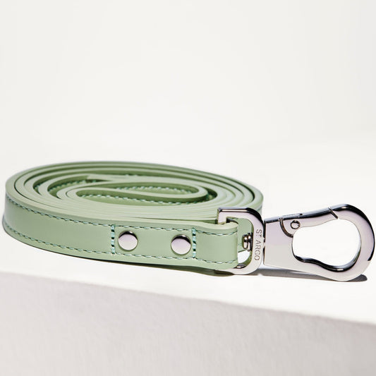 sage green lead in vegan leather with silver hardware