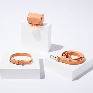 ST ARGO vegan leather peach orange tangerine dog collar walk set with leash lead and poop bag dispenser.